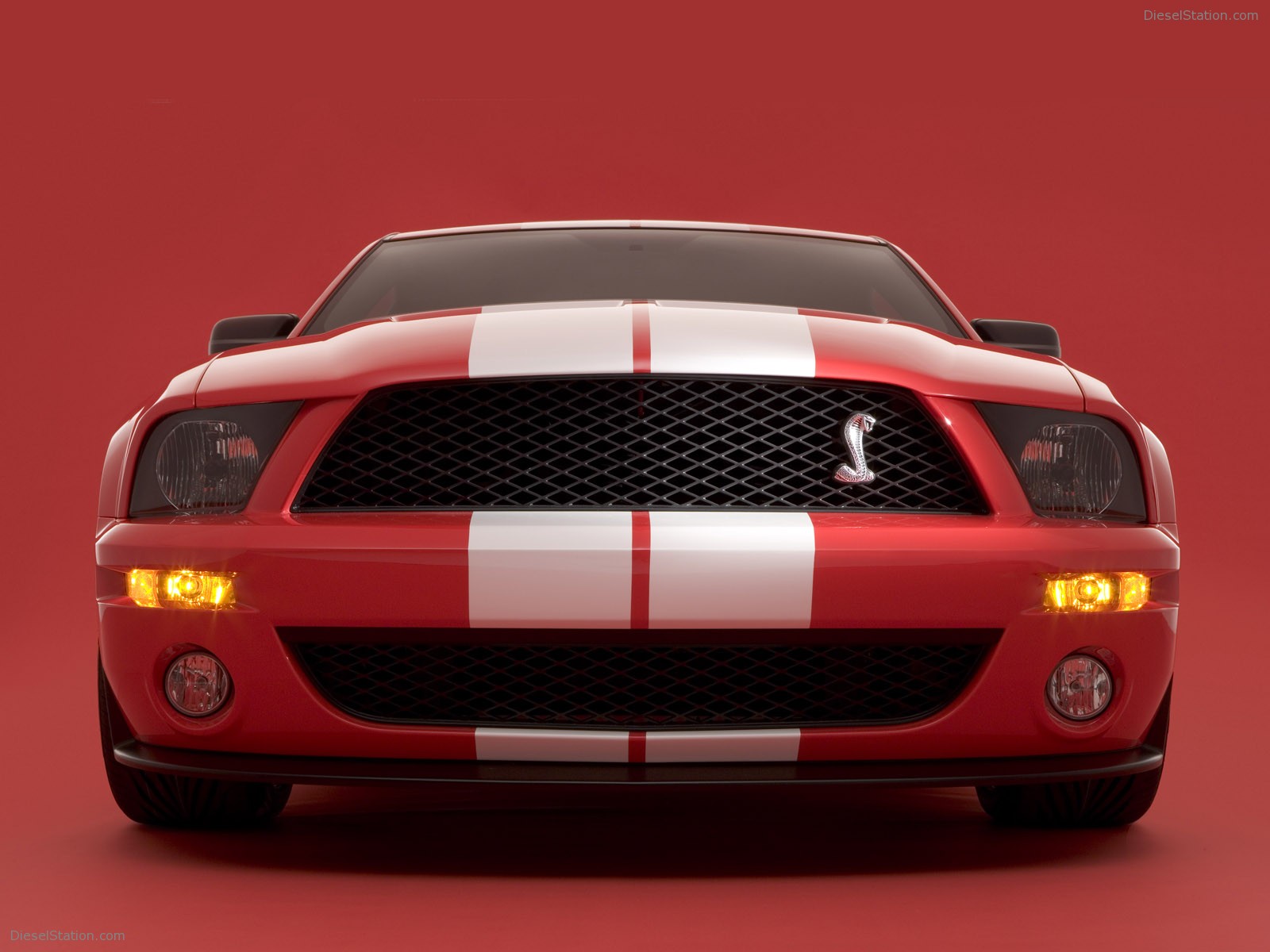 Ford Shelby Cobra GT500